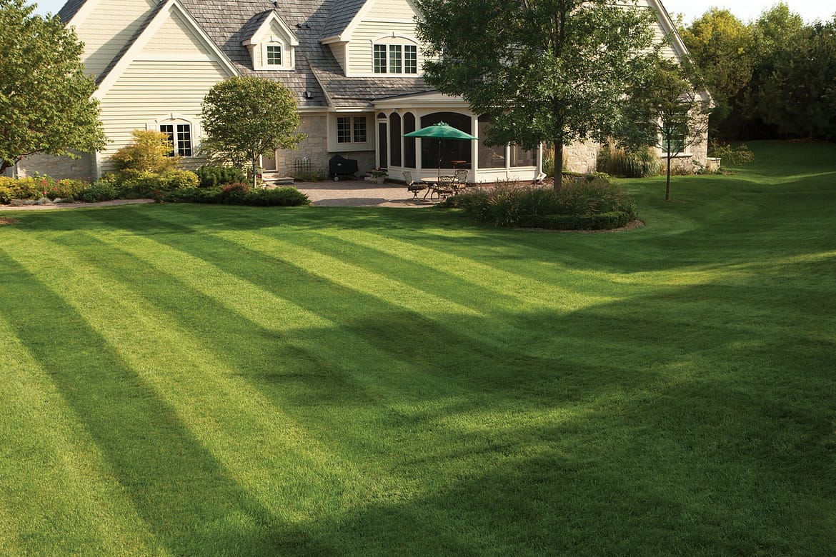 How long does milorganite take to work on a lawn?
