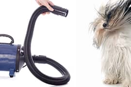 Doggy hair dryer