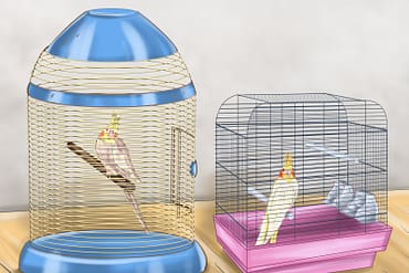 Flight cages for small birds review
